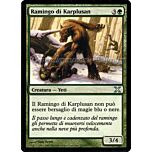 272 / 383 Ramingo di Karplusan non comune (IT) -NEAR MINT-