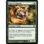 299 / 383 Tigre in Agguato comune (IT) -NEAR MINT-