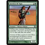 151 / 249 Ascetico di Topa non comune (IT) -NEAR MINT-