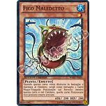 WGRT-IT024 Fico Maledetto super rara Edizione Limitata (IT) -NEAR MINT-
