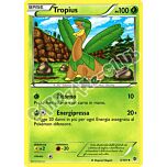 005 / 101 Tropius non comune (IT) -NEAR MINT-