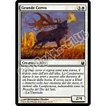 015 / 165 Grande Cervo comune (IT)