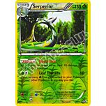 008 / 113 Serperior rara foil reverse (EN) -NEAR MINT-