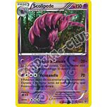 053 / 146 Scolipede rara foil reverse (IT) -NEAR MINT-