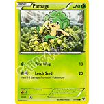 010 / 146 Pansage comune (EN) -NEAR MINT-