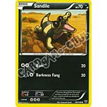 069 / 146 Sandile comune (EN) -NEAR MINT-