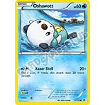 037 / 113 Oshawott comune normale (EN) -NEAR MINT-