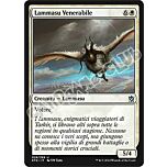 028 / 269 Lammasu Venerabile non comune (IT) -NEAR MINT-