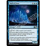 083 / 269 Wall of Frost non comune (EN) -NEAR MINT-
