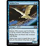 084 / 269 Welkin Tern comune (EN) -NEAR MINT-