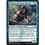 040 / 185 Predatore del Fiume Marang non comune (IT)