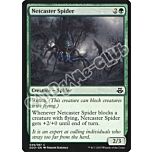 49 / 67 Netcaster Spider comune (EN) -NEAR MINT-