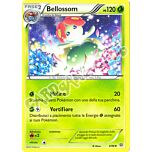 04 / 98 Bellossom non comune normale (IT) -NEAR MINT-