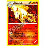 15 / 83 Rapidash rara foil reverse (IT) -NEAR MINT-