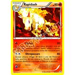 15 / 83 Rapidash rara normale (IT) -NEAR MINT-