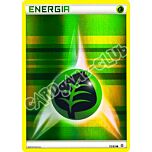75 / 83 Energia Erba comune foil reverse (IT) -NEAR MINT-