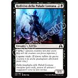 110 / 297 Redivivo della Palude Lontana comune normale (IT) -NEAR MINT-