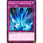 SDMP-IT039 Tributo Torrenziale comune 1a Edizione (IT) -NEAR MINT-