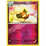 071 / 124 Whimsicott non comune foil reverse (IT) -NEAR MINT-