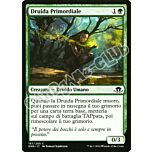 167 / 205 Druida Primordiale comune normale (IT) -NEAR MINT-