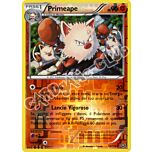 053 / 114 Primeape rara foil reverse (IT) -NEAR MINT-