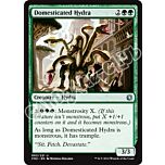 063 / 221 Domesticated Hydra non comune (EN) -NEAR MINT-