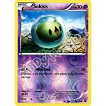 033 / 124 Solosis comune foil reverse (EN) -NEAR MINT-