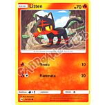 024 / 149 Litten comune normale (IT) -NEAR MINT-