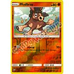 077 / 147 Mudbray comune foil reverse (EN) -NEAR MINT-