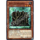 BP02-IT081 Siepe Guardiana comune unlimited (IT)