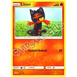 15 / 73 Litten comune normale (IT) -NEAR MINT-