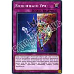 SDCL-IT032 Ricodificato Vivo comune 1a edizione (IT) -NEAR MINT-