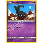 046 / 111 Salandit comune normale (IT) -NEAR MINT-