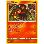 Promo Sun & Moon SM23 Litten rara foil (EN) -NEAR MINT-