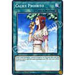 SDPL-IT024 Calice Proibito comune 1a edizione (IT) -NEAR MINT-