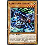 EXFO-IT003 Compagno Striping comune 1a Edizione (IT) -NEAR MINT-