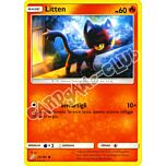 020 / 181 Litten comune normale (IT) -NEAR MINT-