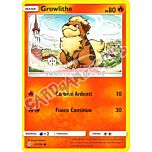 021 / 214 Growlithe comune normale (IT) -NEAR MINT-