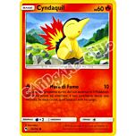 039 / 214 Cyndaquil comune normale (IT) -NEAR MINT-