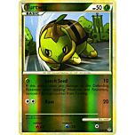 67 / 95 Turtwig comune foil reverse (EN) -NEAR MINT-