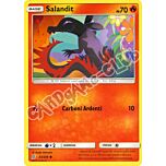 033 / 236 Salandit comune normale (IT) -NEAR MINT-