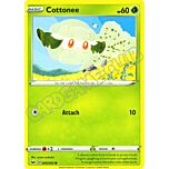 005 / 202 Cottonee comune normale (EN) -NEAR MINT-