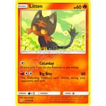 027 / 214 Litten comune normale (EN) -NEAR MINT-