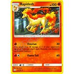 024 / 236 Rapidash non comune normale (EN) -NEAR MINT-