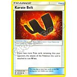 201 / 236 Karate Belt non comune normale (EN) -NEAR MINT-