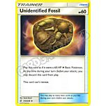 210 / 236 Unidentified Fossil non comune normale (EN) -NEAR MINT-
