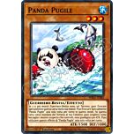 PHRA-IT082 Panda Pugile comune 1a Edizione (IT) -NEAR MINT-