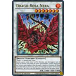 LDS2-IT110 Drago Rosa Nera (scritta ORO) ultra rara 1a Edizione (IT) -NEAR MINT-