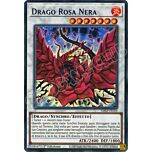 LDS2-IT110 Drago Rosa Nera (scritta BLU) ultra rara 1a Edizione (IT) -NEAR MINT-