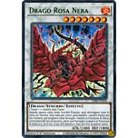 LDS2-IT110 Drago Rosa Nera (scritta VERDE) ultra rara 1a Edizione (IT) -NEAR MINT-